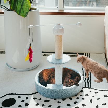 Pounce and Lounge 4-in-1